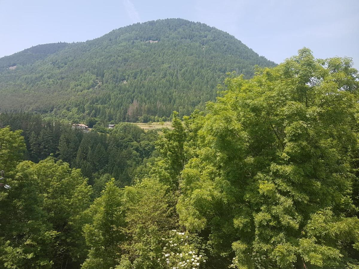 Appartamento Altipiano Pine 2 Bedollo Экстерьер фото